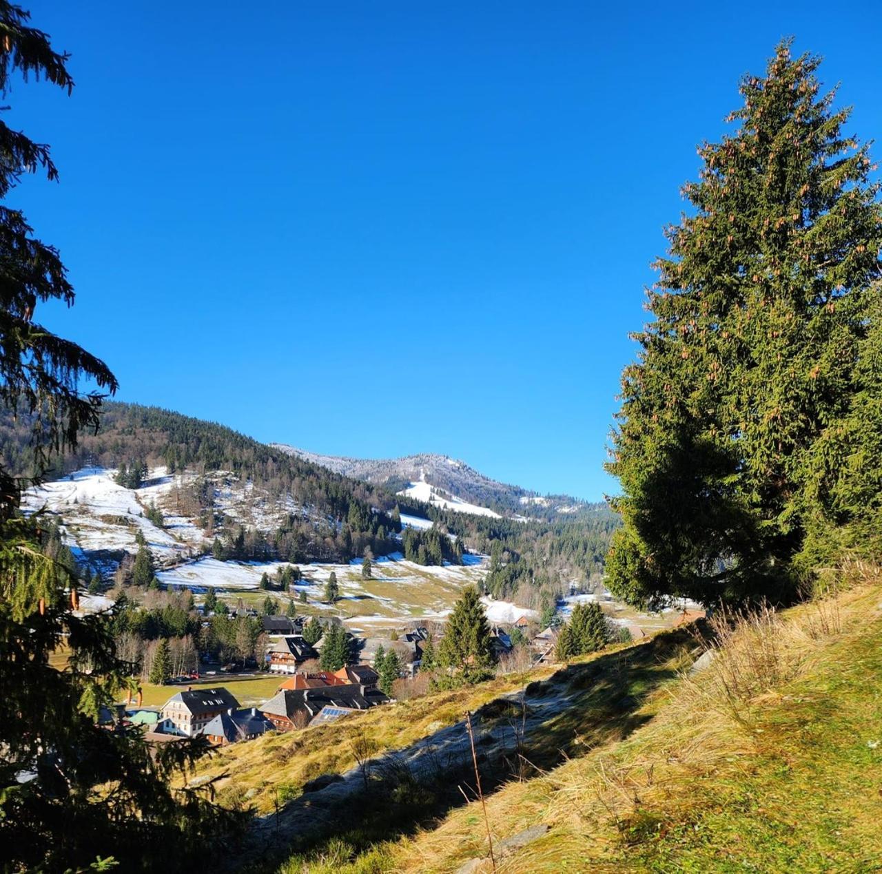 Hotel Hirschen Menzenschwand-Hinterdorf Exterior foto